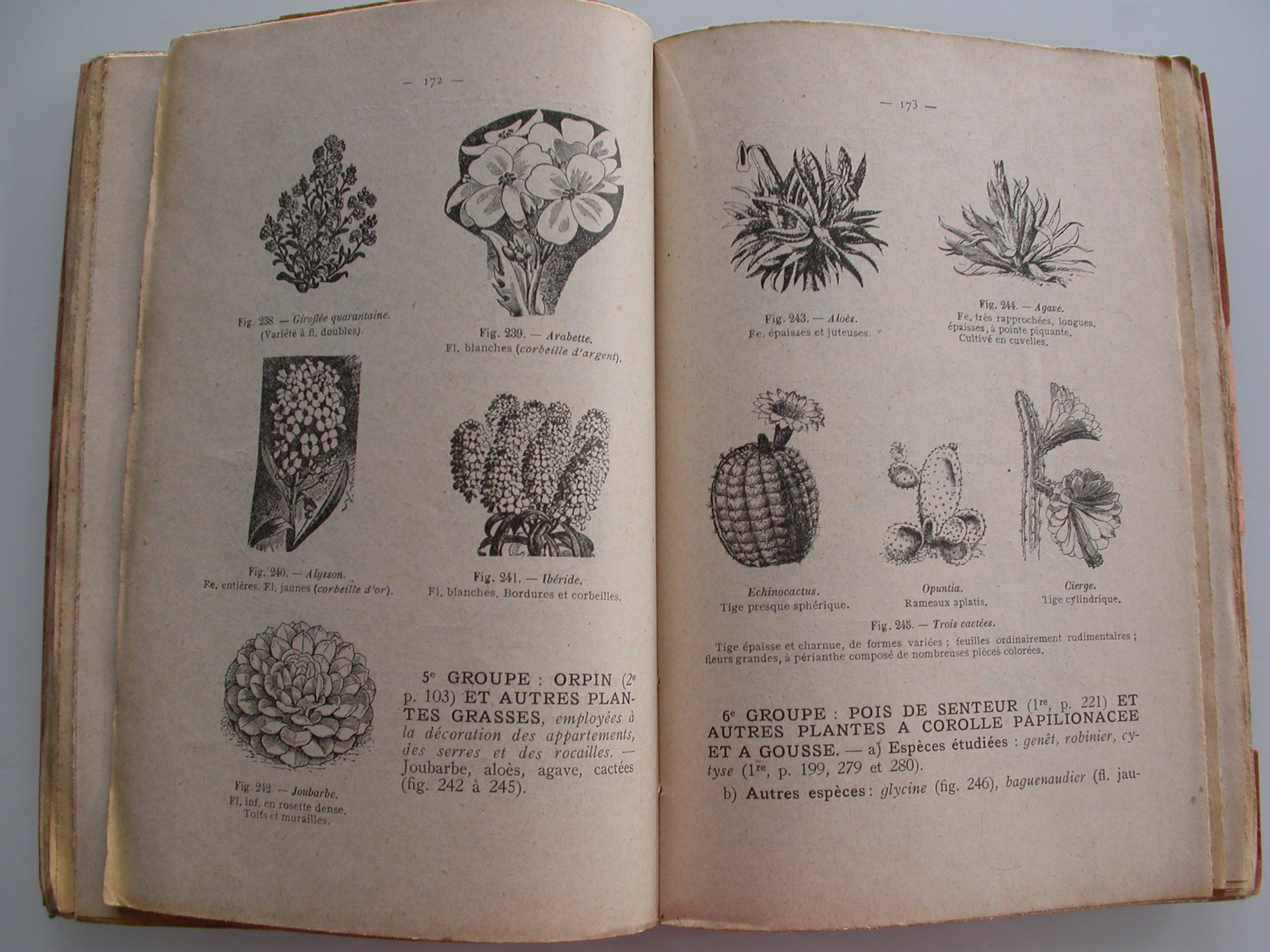 Sterckx Les sciences naturelles à l'école moyenne