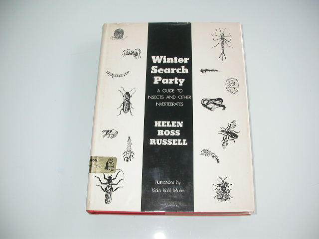 Winter search party, A guide to insects and other invertebrates