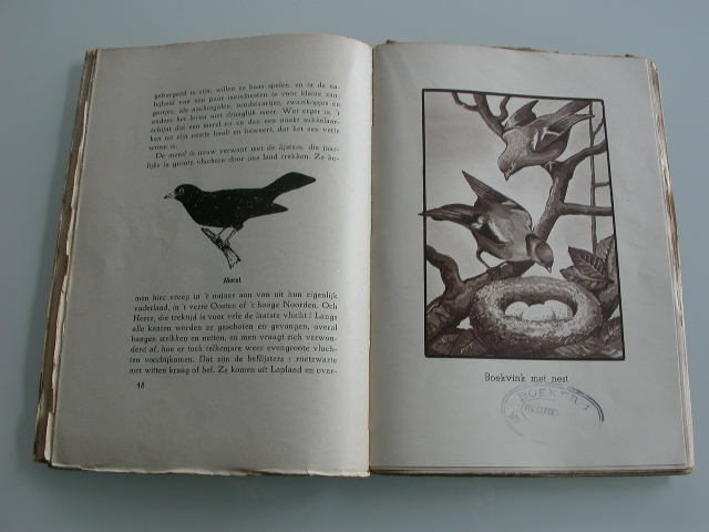 Kijkjes in Gods prentenboek  Insectenetende vogels