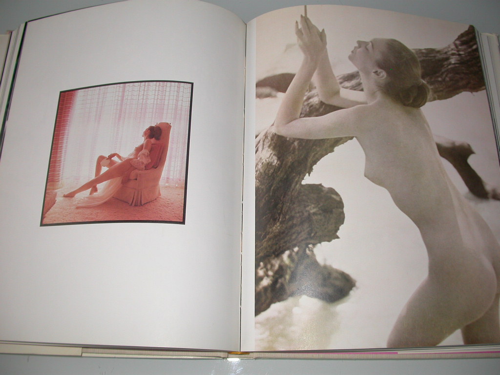 Goldsmith The nude in photography