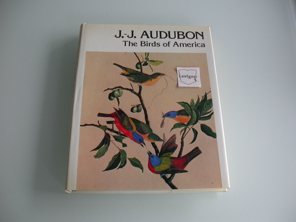 Audubon The birds of America
