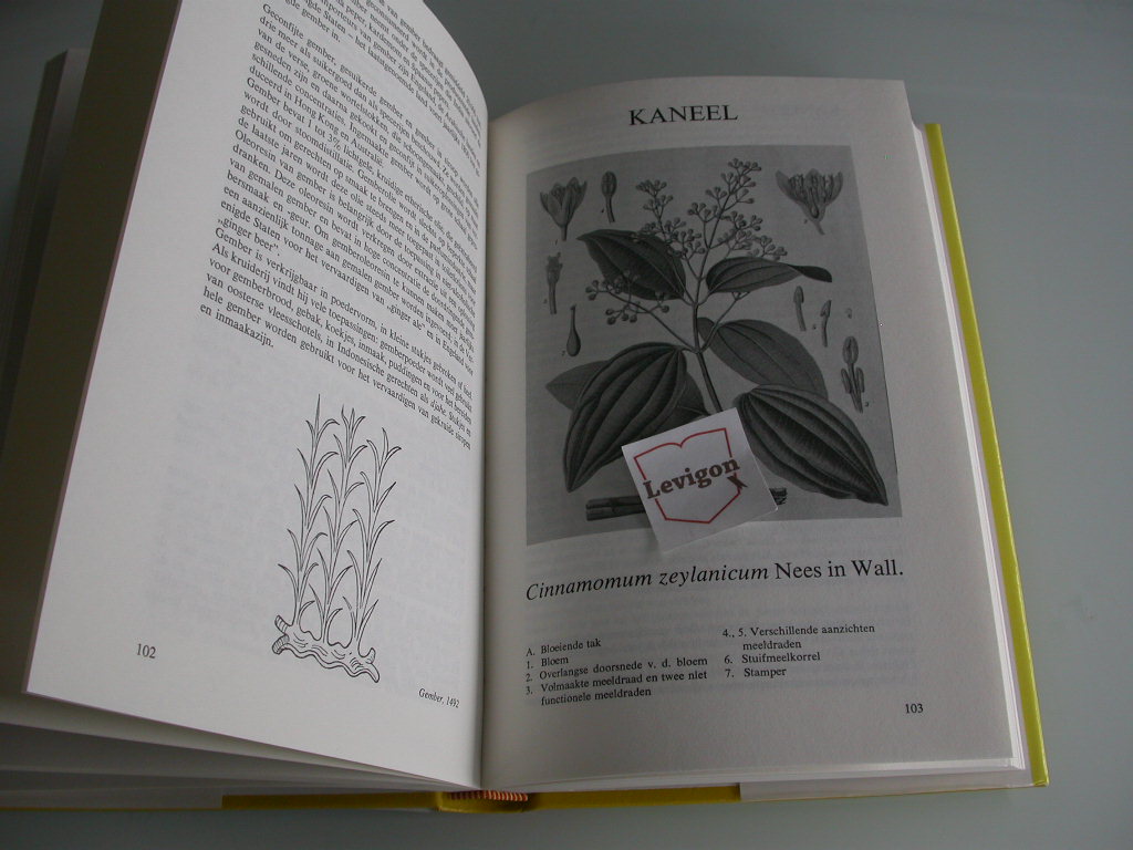 Rosengarten Het grote boek der specerijen